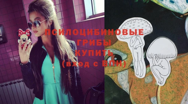 ПСИЛОЦИБИНОВЫЕ ГРИБЫ Лиски