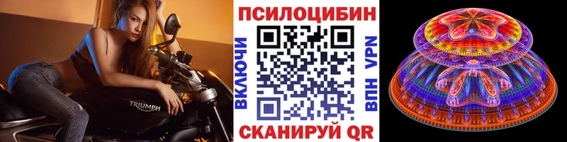 Псилоцибиновые грибы Psilocybe  Красноуральск 